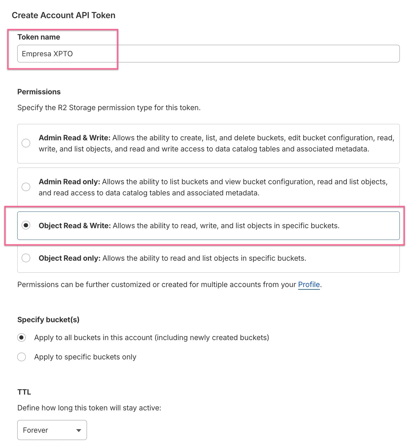 Tela de criação do token, com a permissão Object Read and Write selecionada